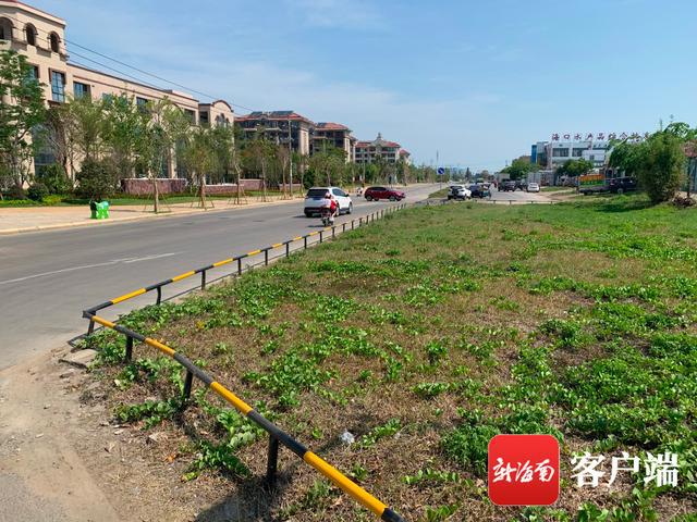 新合埠路最新動(dòng)態(tài)，邁向未來的城市主干道重塑與升級