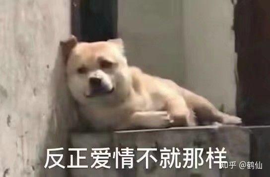 微信最新表情包含義，探索表情背后的故事與情感表達(dá)