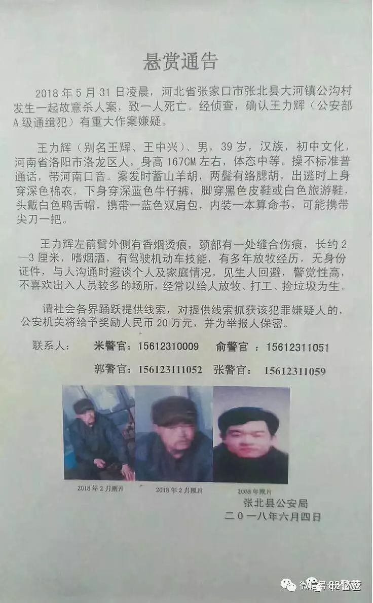 網(wǎng)上最新通緝犯名單，社會安全的警鐘長鳴