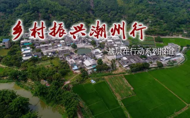 牧馬鎮(zhèn)蓮花村最新規(guī)劃，鄉(xiāng)村振興的藍圖展望