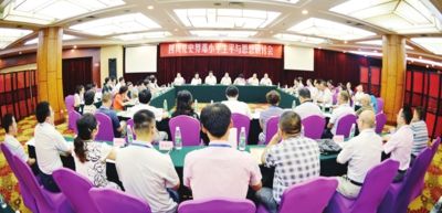 澳門(mén)王中王100的資料論壇，深入解析與落實(shí)的探討