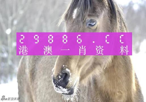澳門一肖一碼100準(zhǔn)免費(fèi)，揭示背后的真相與風(fēng)險(xiǎn)