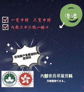 澳門一肖一碼，揭秘所謂的精準(zhǔn)王中王背后的真相與需求釋義解釋落實(shí)的重要性
