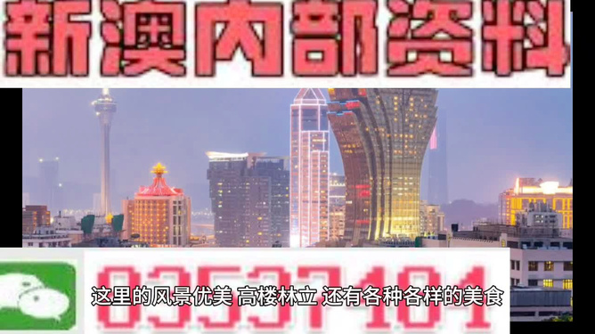 新澳門精準(zhǔn)資料大全，龍門資料最新解讀與實(shí)際應(yīng)用