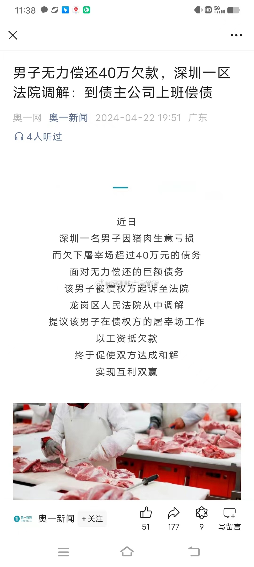 一肖一碼一一肖一子在深圳，瞬時釋義、解釋與落實