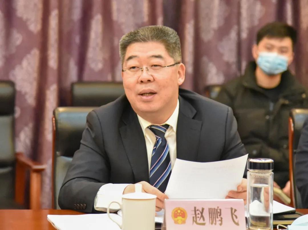 肥鄉(xiāng)房子最新消息，市場趨勢、政策影響及未來展望