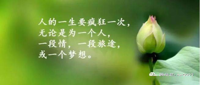 最新英文說說心情短語，探索心靈深處的情感潮汐