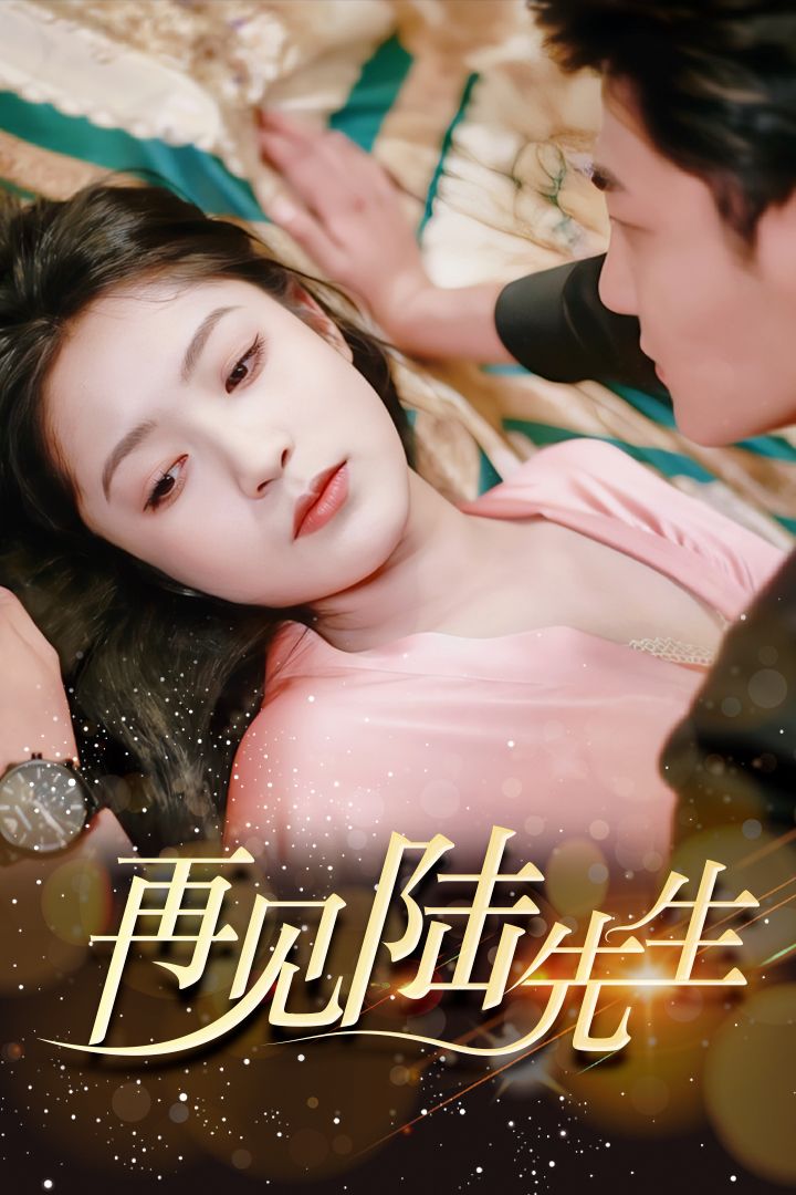 再見(jiàn)許先生最新章節(jié)，重逢的序曲